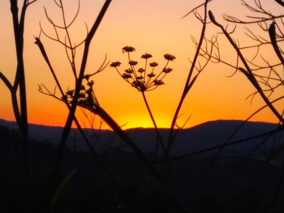 Airinos De Mondariz Βίλα Εξωτερικό φωτογραφία